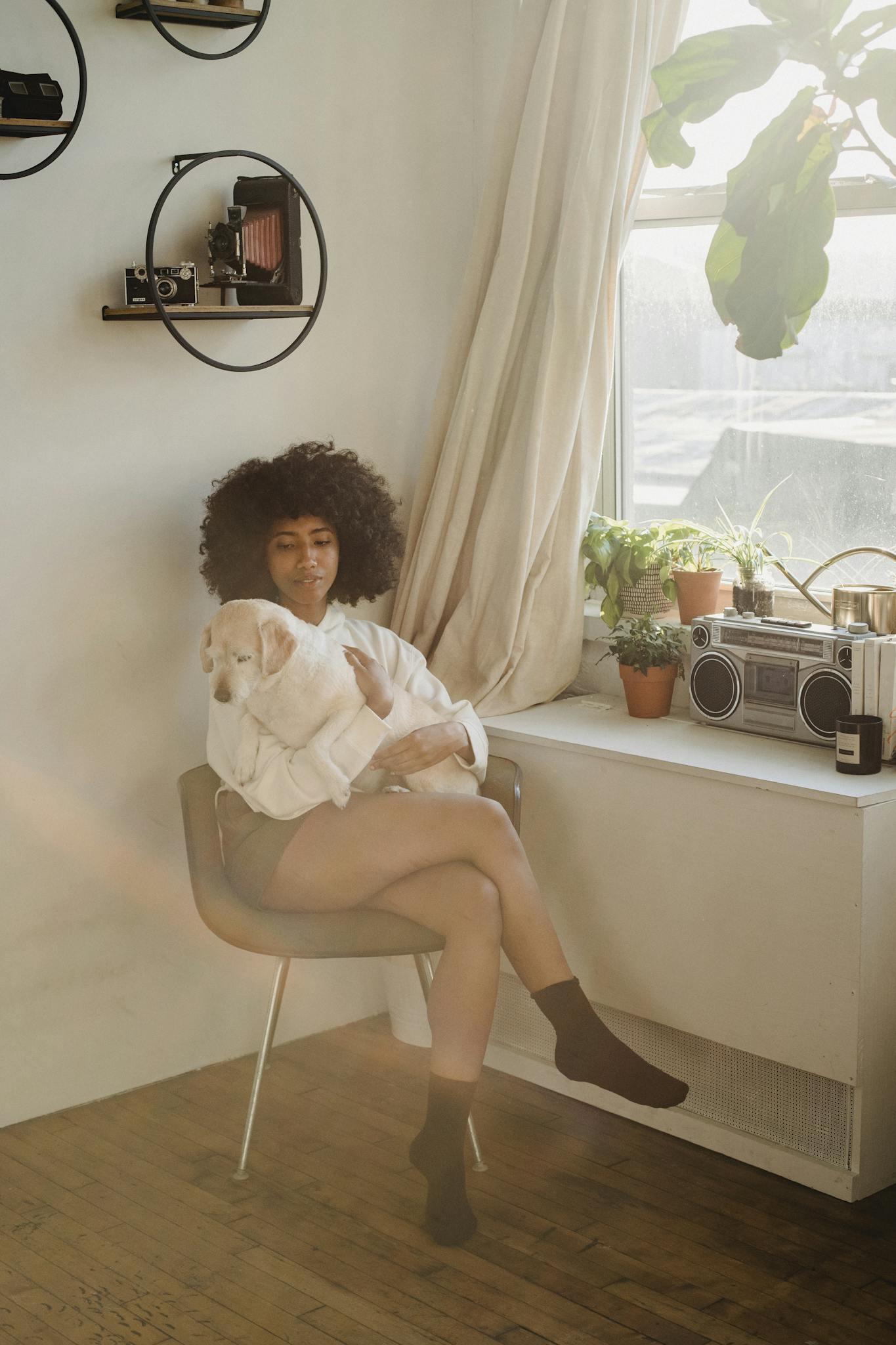 Full body of young African American female with afro in casual clothes sitting with legs crossed and hugging dog near window