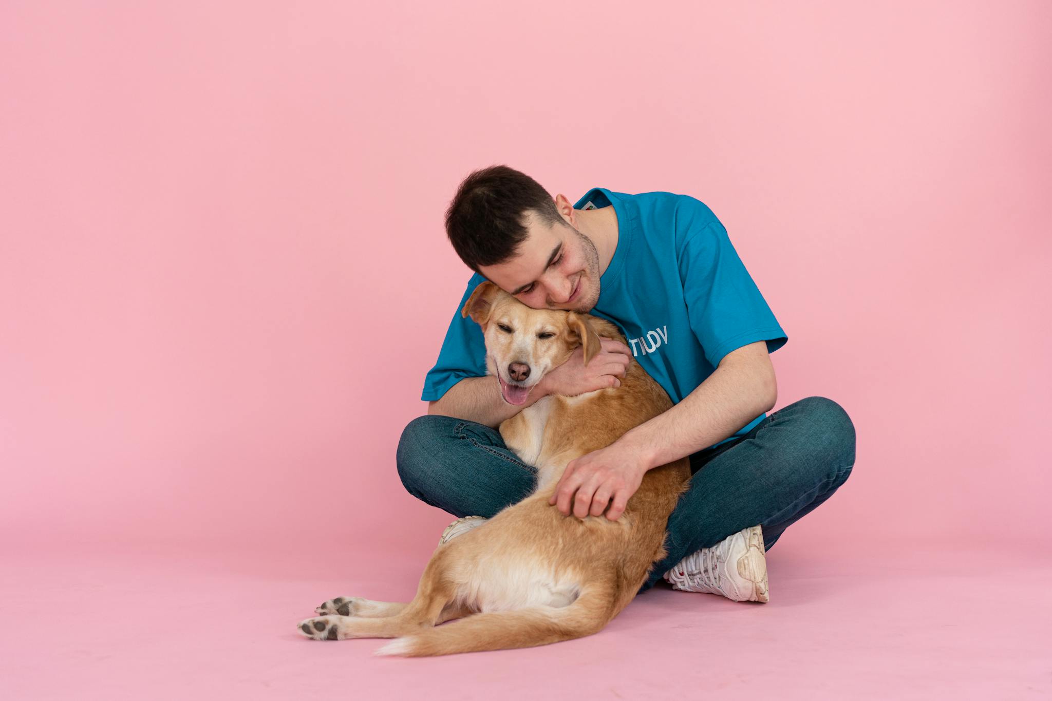 Smiling man in blue shirt hugging a happy dog on pink studio floor, enjoying companionship.