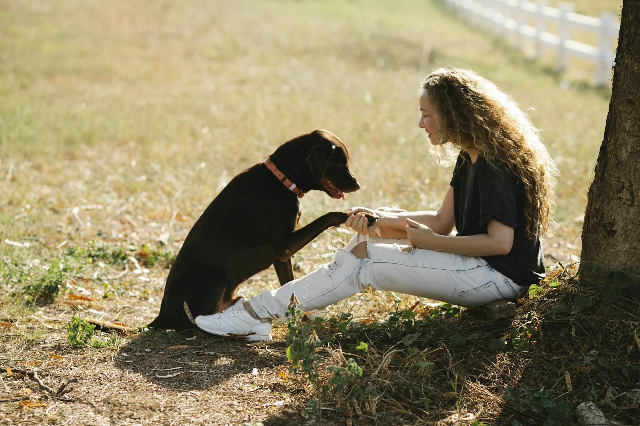 Woman and Labrador Retriever sharing a moment in the countryside.