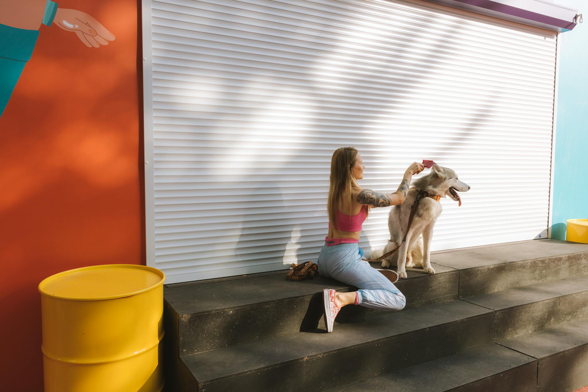 Woman combing Siberian husky on city steps with colorful urban background.