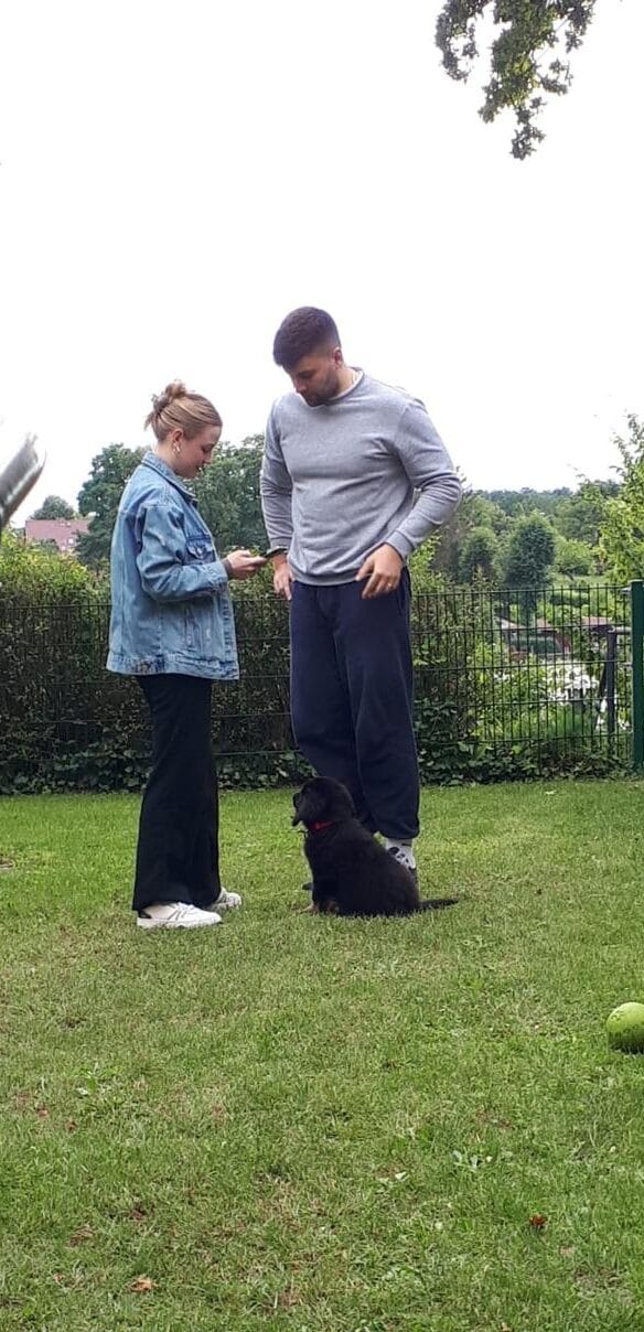 Auf einer Wiese stehen ein Mann und eine Frau vor einem kleinen schwarzen Hund, während in der Nähe ein grüner Ball liegt.