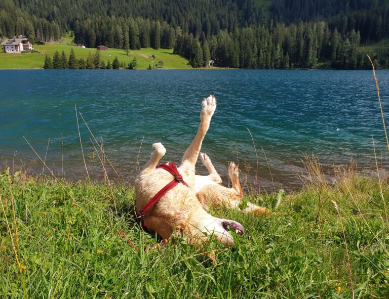 20190811 150942 768x591