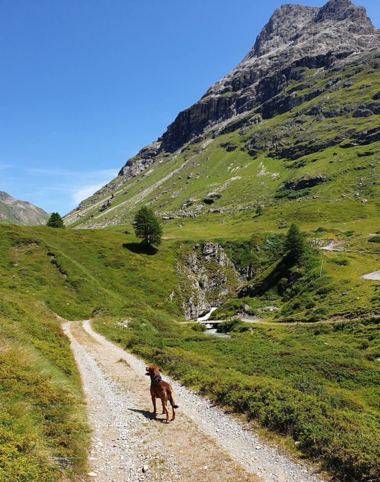 20230712 122836 768x973