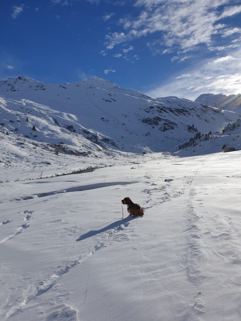 20231104 091238 768x1024