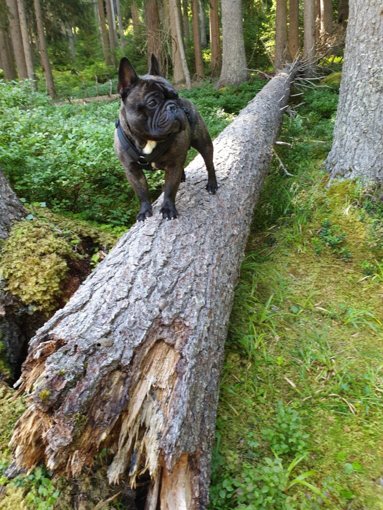 20250719 100245 768x1024