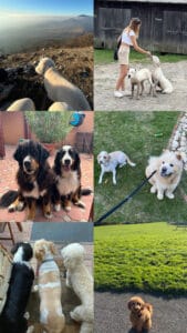 DD5F9825 C022 4D2A AE2D 17D91F606ED2 169x300