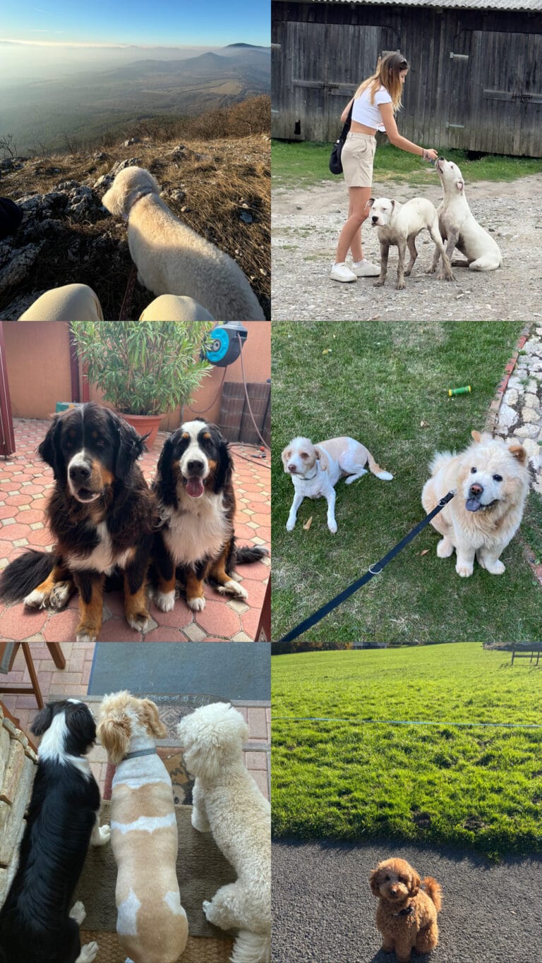 DD5F9825 C022 4D2A AE2D 17D91F606ED2 768x1365