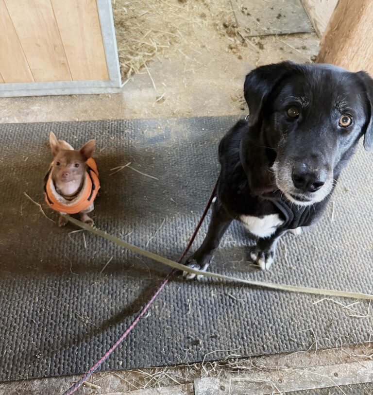 B1A5A55E A304 4723 9607 4693B034227F 768x813