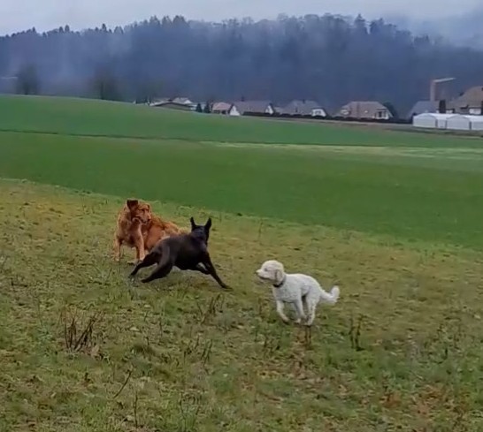 20230103 115406 exported 237532