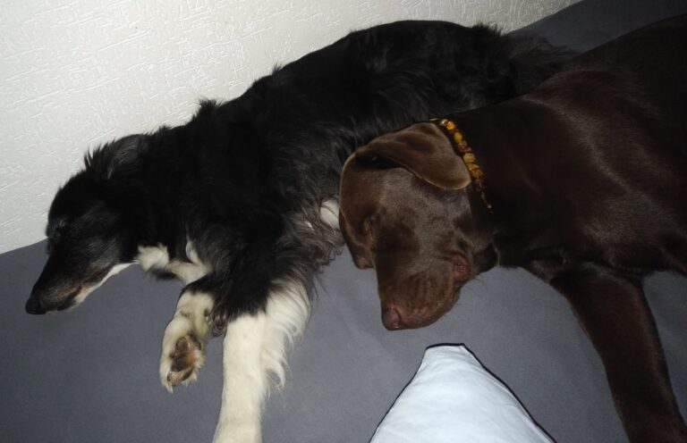 7e2dc9eb 4353 1ffd 7bc9 b15f6b94c309 768x496