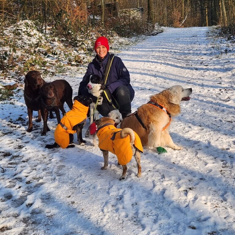 IMG 20240112 WA0038 768x768