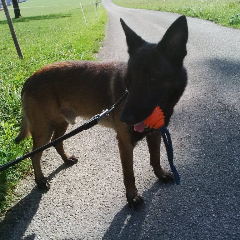 IMG 20150924 112257 768x768