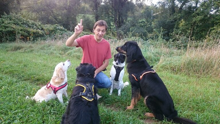 7 copyright dogdream.ch  768x432